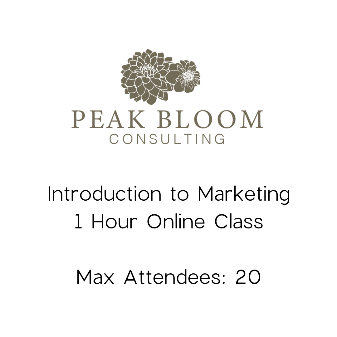 Introduction to Marketing (Online Class)