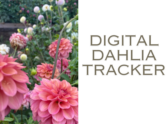 Digital Dahlia Tracker