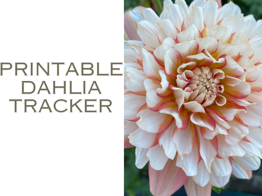 Printable Dahlia Tracker