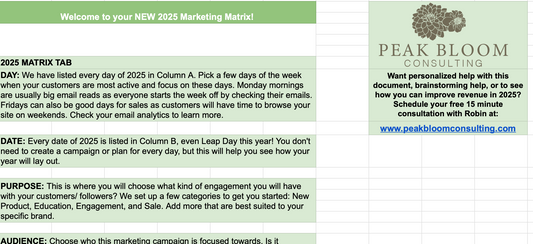 2025 Marketing Matrix + Tips